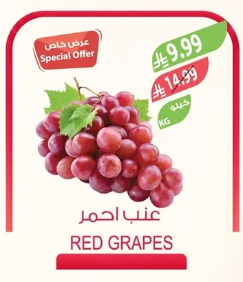 RED GRAPES