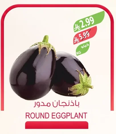ROUND EGGPLANT