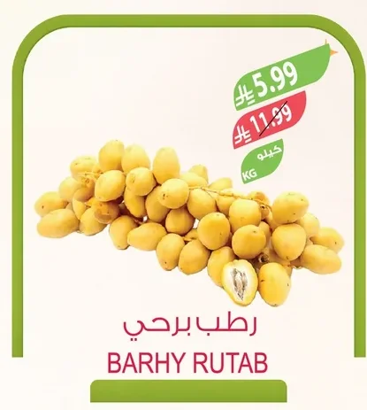 BARHY RUTAB