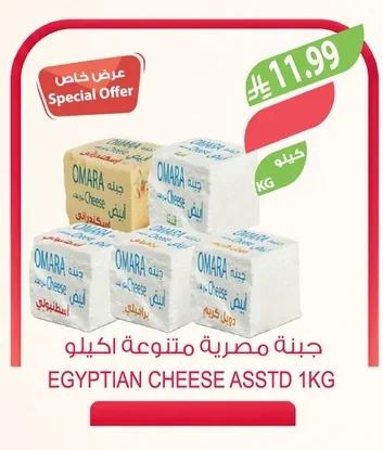 جبنة مصرية متنوعة