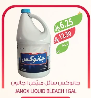 Liquid Bleach