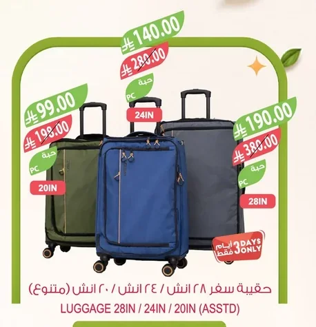 LUGGAGE 28IN / 24IN / 20IN (ASSTD)