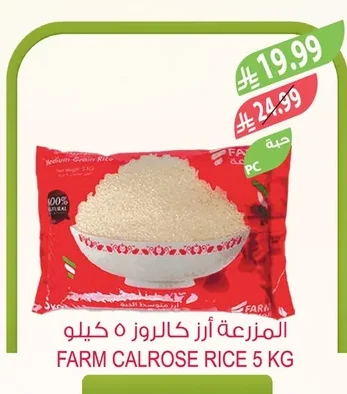 Calrose Rice