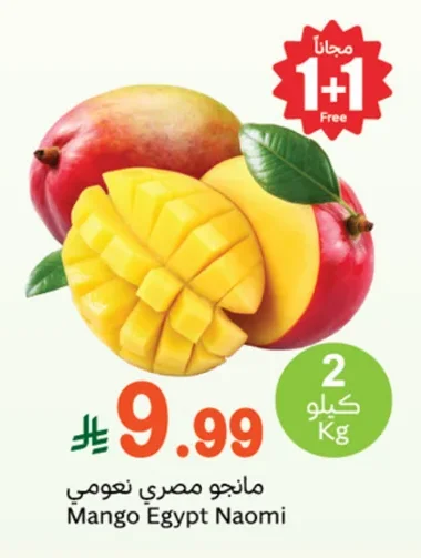 Mango Egypt Naomi