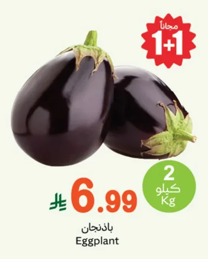 Eggplant