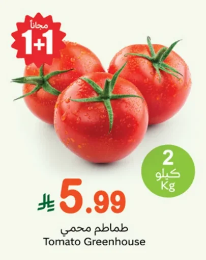 طماطم محمي