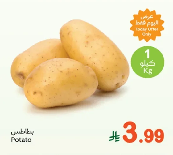 بطاطس