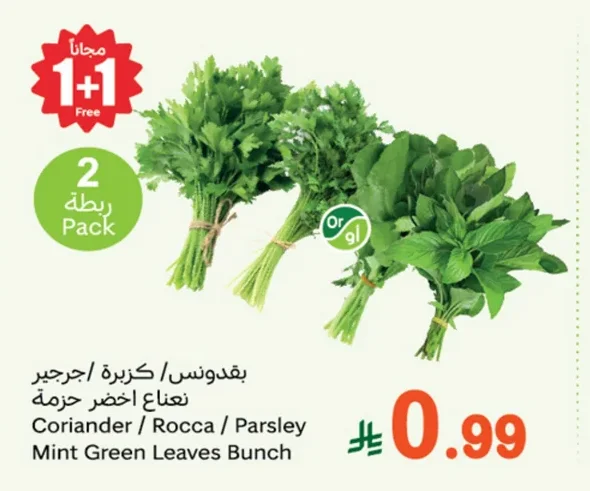 بقدونس / كزبرة كبيرة / جرجير نعناع اخضر حزمة