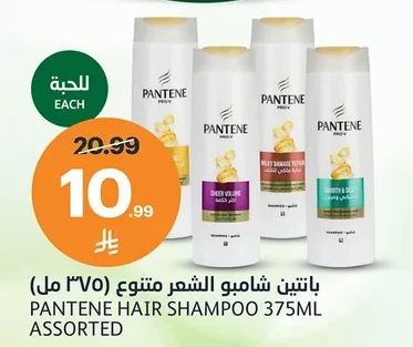 بانتين شامبو الشعر متنوع