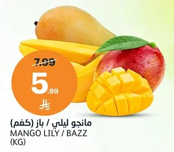 مانجو ليلي / باز