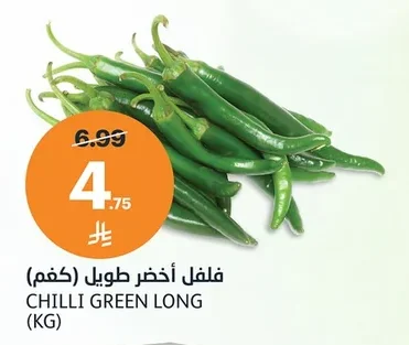 فلفل أخضر طويل