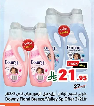 Downy Fabric Softener Wild Valley