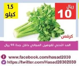 كرفس