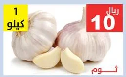 Garlic