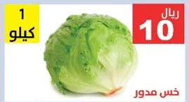 Round Lettuce