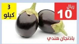 Indian Eggplant