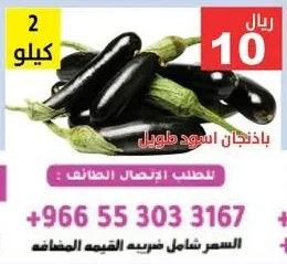 باذنجان اسود طويل