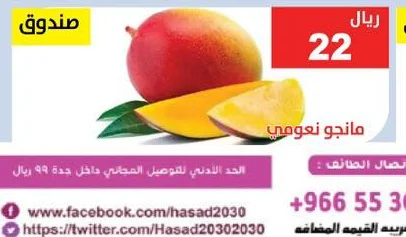 MANGO NAOMI