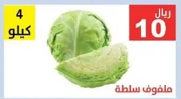 Salad Cabbage