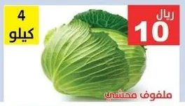 ملفوف محشي