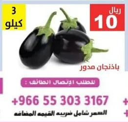 Round Eggplant