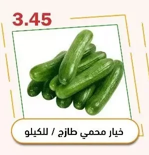 Fresh Cucumber