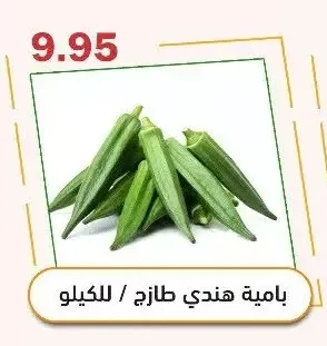 Fresh Indian Okra