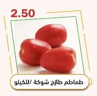 Fresh "Shoka" Tomatoes