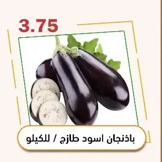 Fresh Black Eggplant