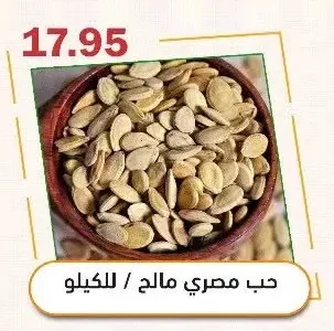 Salted Egyptian Fava Beans