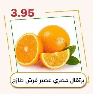 Fresh Egyptian Juicing Oranges