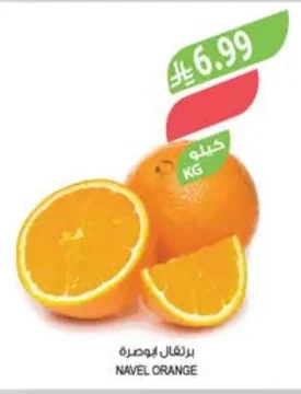 NAVEL ORANGE
