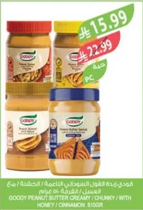 Goody Peanut Butter Creamy / Chunky / With Honey / Cinnamon 510g