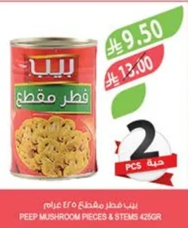 بيب فطر مقطع