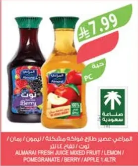 Mixed Fruit / Lemon / Pomegranate Juice