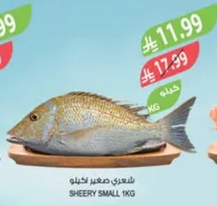 SHEERY SMALL 1KG