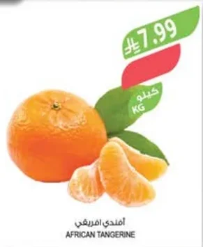 AFRICAN TANGERINE