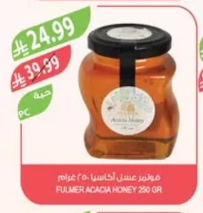 Fulmer Acacia Honey