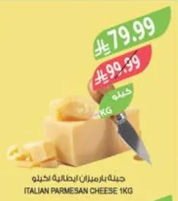 ITALIAN PARMESAN CHEESE