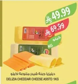 DELIZIA Cheddar Cheese Assorted