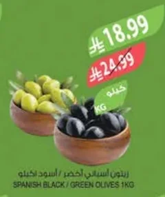 SPANISH BLACK / GREEN OLIVES
