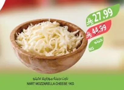NART Mozzarella Cheese