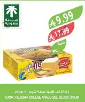 لونا قالب شبيهة جبنة شيدر