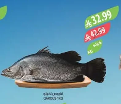 QAROUS 1KG