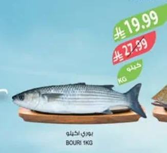 BOURI 1KG