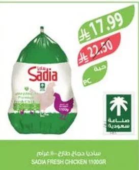 دجاج طازج