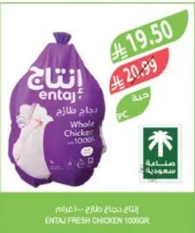 إنتاج دجاج طازج