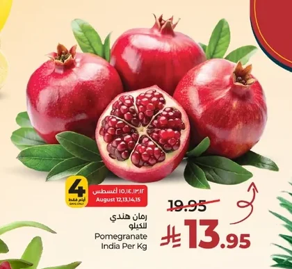 رمان هندي