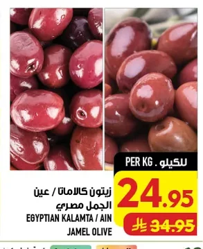 EGYPTIAN KALAMTA / AIN JAMEL OLIVE