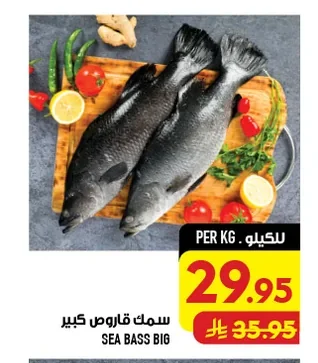 سمك قاروص كبير